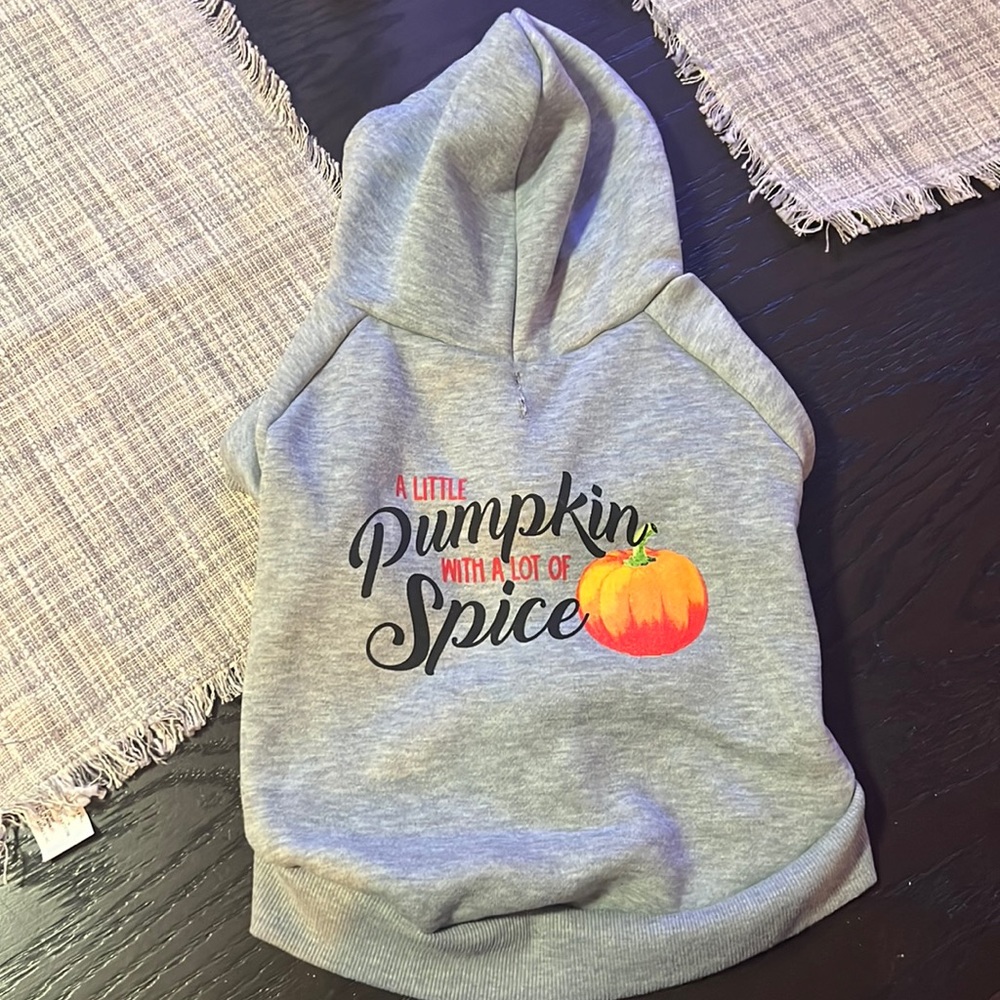 Dog sweater a little pumpkin with a lot of spice